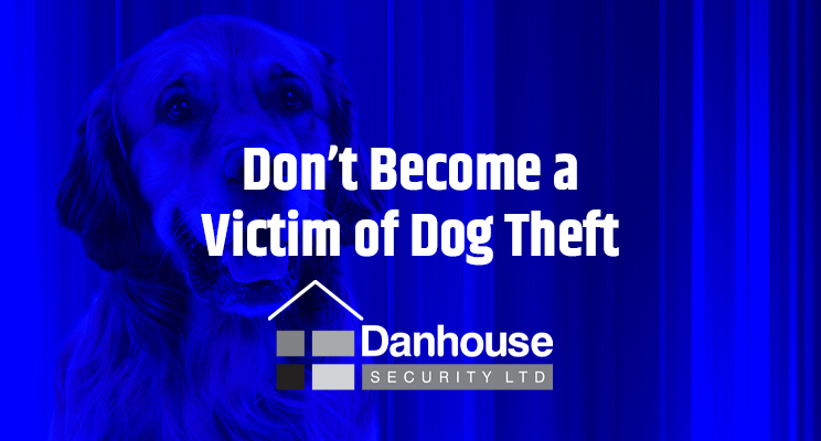 Dog theft is a particularly horrible crime, because it often means heartbreak for a family. Sadly, it’s on the rise in the UK.