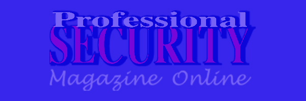 Professional Security